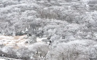 전국에 비 또는 눈…강원 산지·동해안엔 10㎝ 이상 폭설