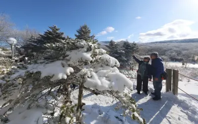오후부터 중부 지방 비나 눈…빙판길·살얼음 조심해야