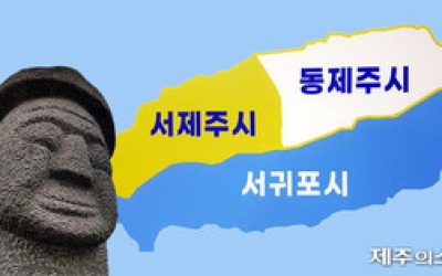 기초자치단체 적정 제주특별자치도 기능 재조정-적정인력 산정 추진
