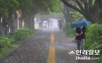 올해도 딱 7일 빼고 제주시 연동에 내린 눈·비 모두 '산성'