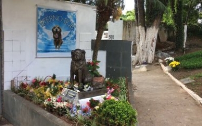 죽어서도 우리 ‘코코’와 같이 있고 싶어요