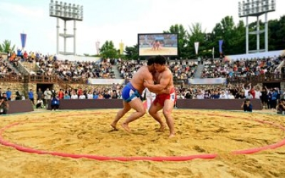 사전 협의 없이 계획 수정…지역 씨름계 강한 반발 단독 대전서남부스포츠타운서 약속했던 씨름장 ‘밀실삭제’