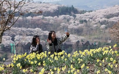 내일날씨 내일날씨 아침 쌀쌀하고 낮 포근…서울 23도·대전 25도