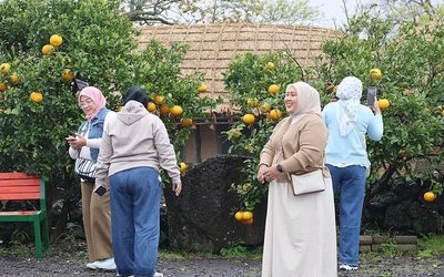 일요일 서울·춘천 30도 육박…4월 중순에 초여름 더위